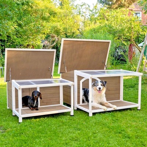 Outdoor dog kennel outside - kennel,