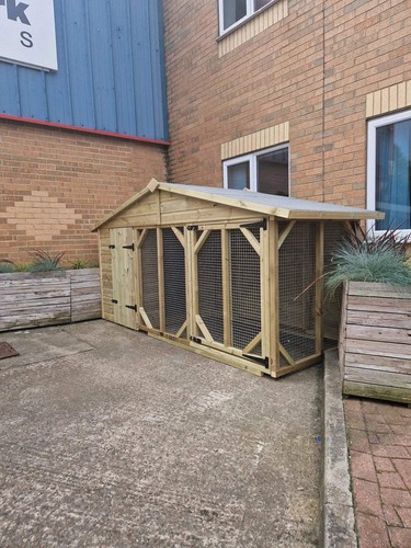 Single dog kennel - x,
