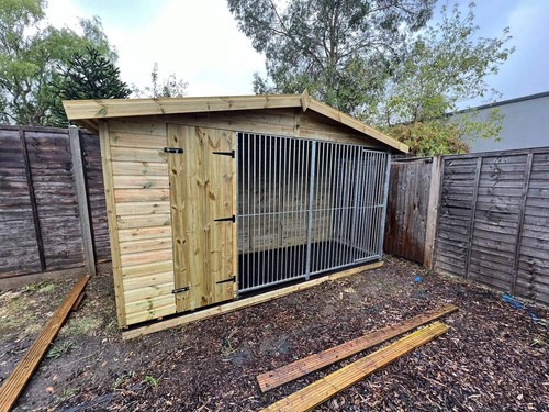 Single dog kennel - dog,