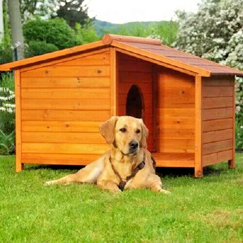 Large outdoor wooden - large, dog