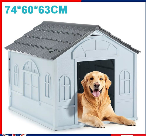 Outdoor large dog - outdoor,