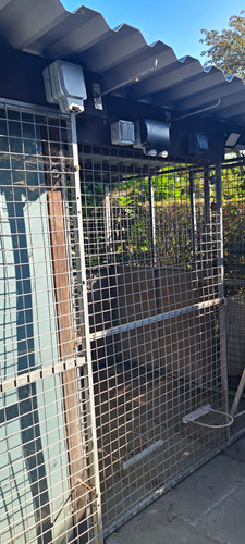 Outdoor metal dog kennel - kennel, run