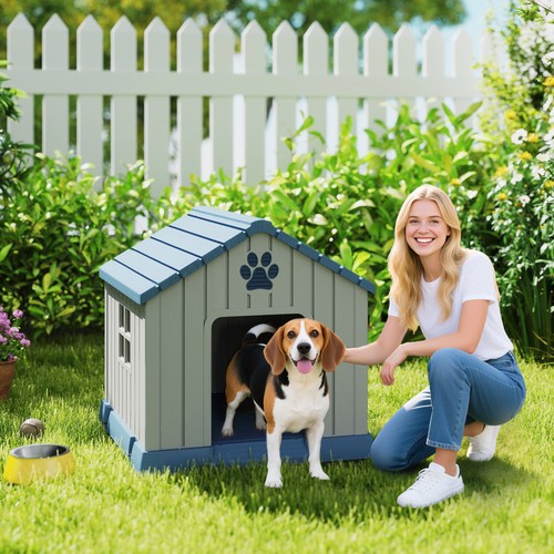 Outdoor dog kennel for medium - kennel,